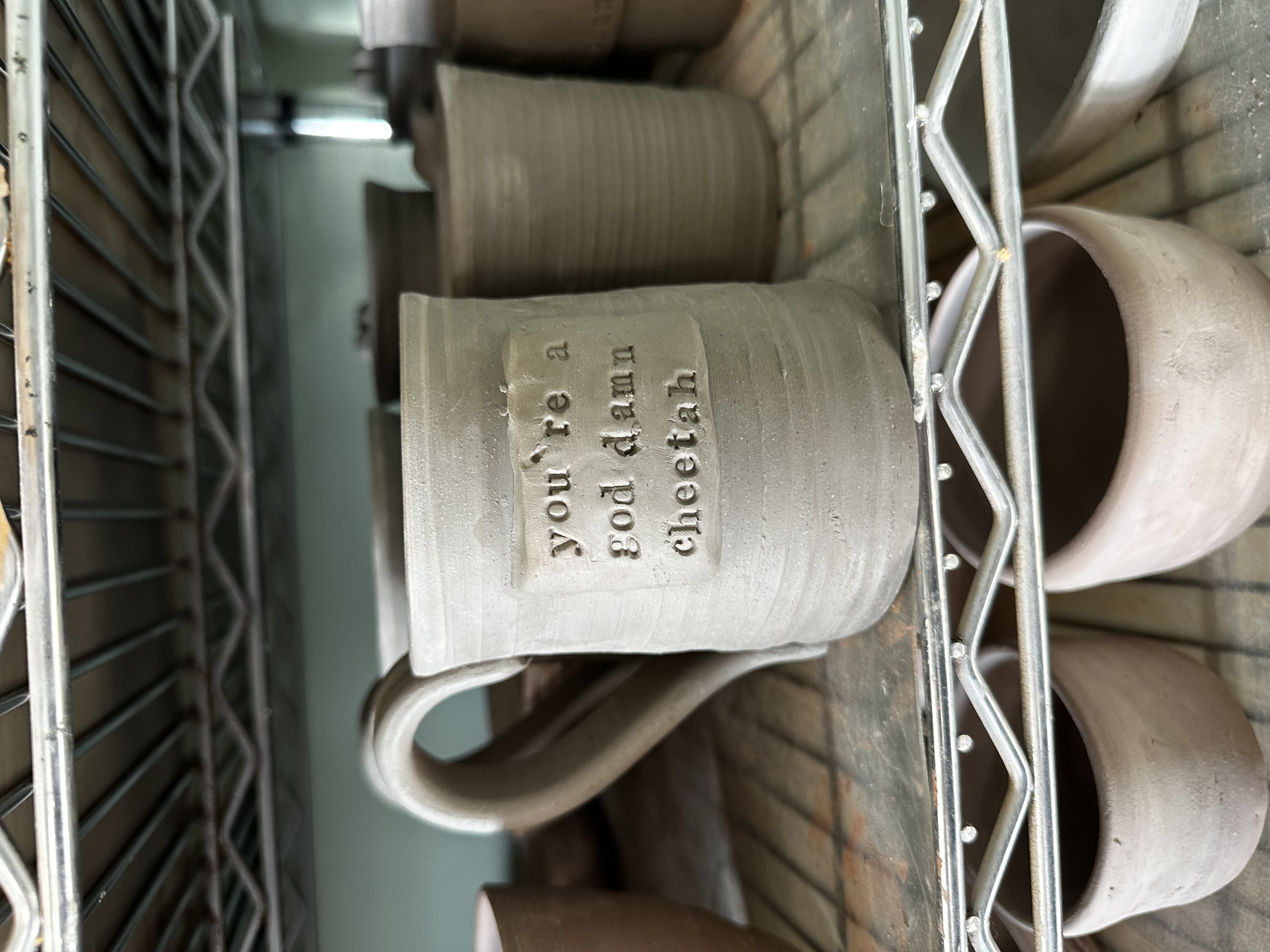 You're a God Damn Cheetah